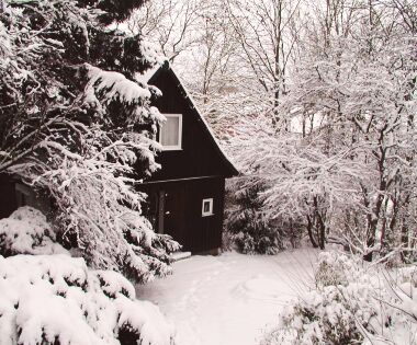 Ferienhaus in Deutschland mit Hund